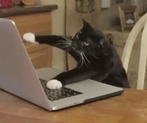 gif centralizado